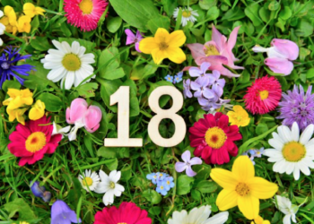 Come Organizzare Una Festa di 18 Anni in Primavera